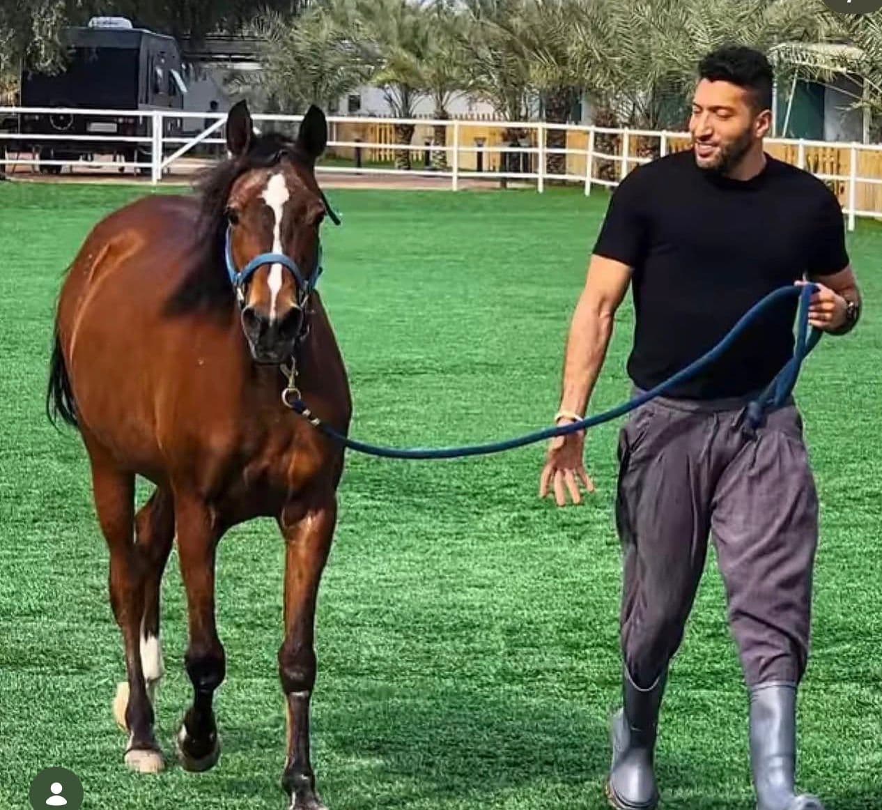 Walking with the horses