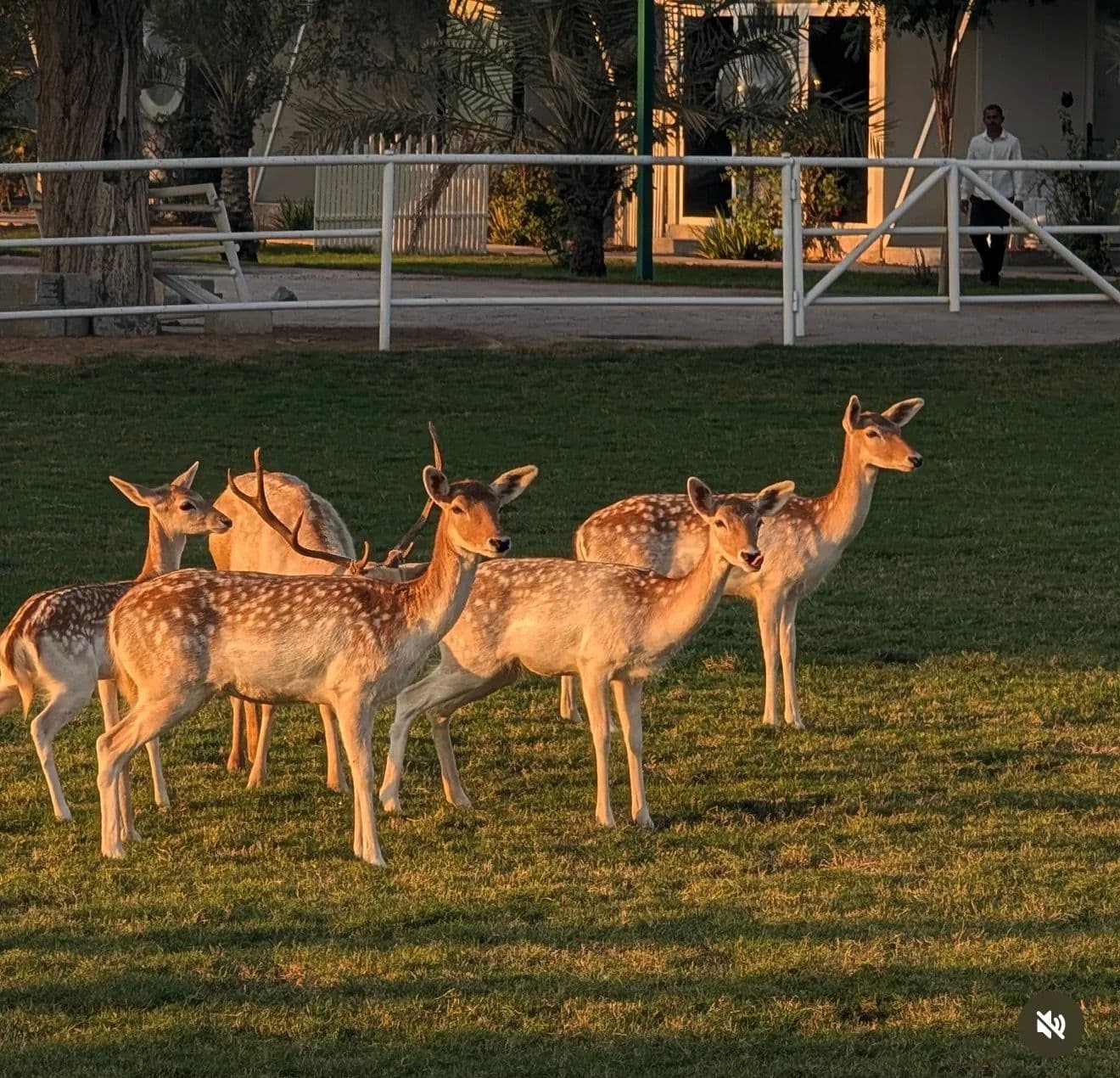 Wildlife everywhere you look