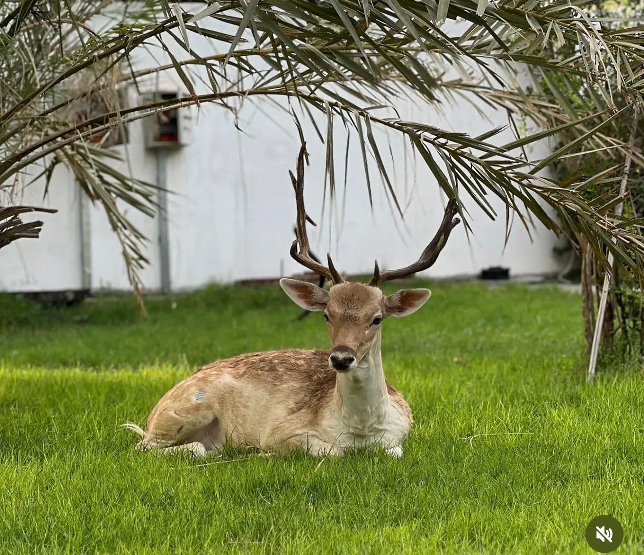 Wildlife watching
